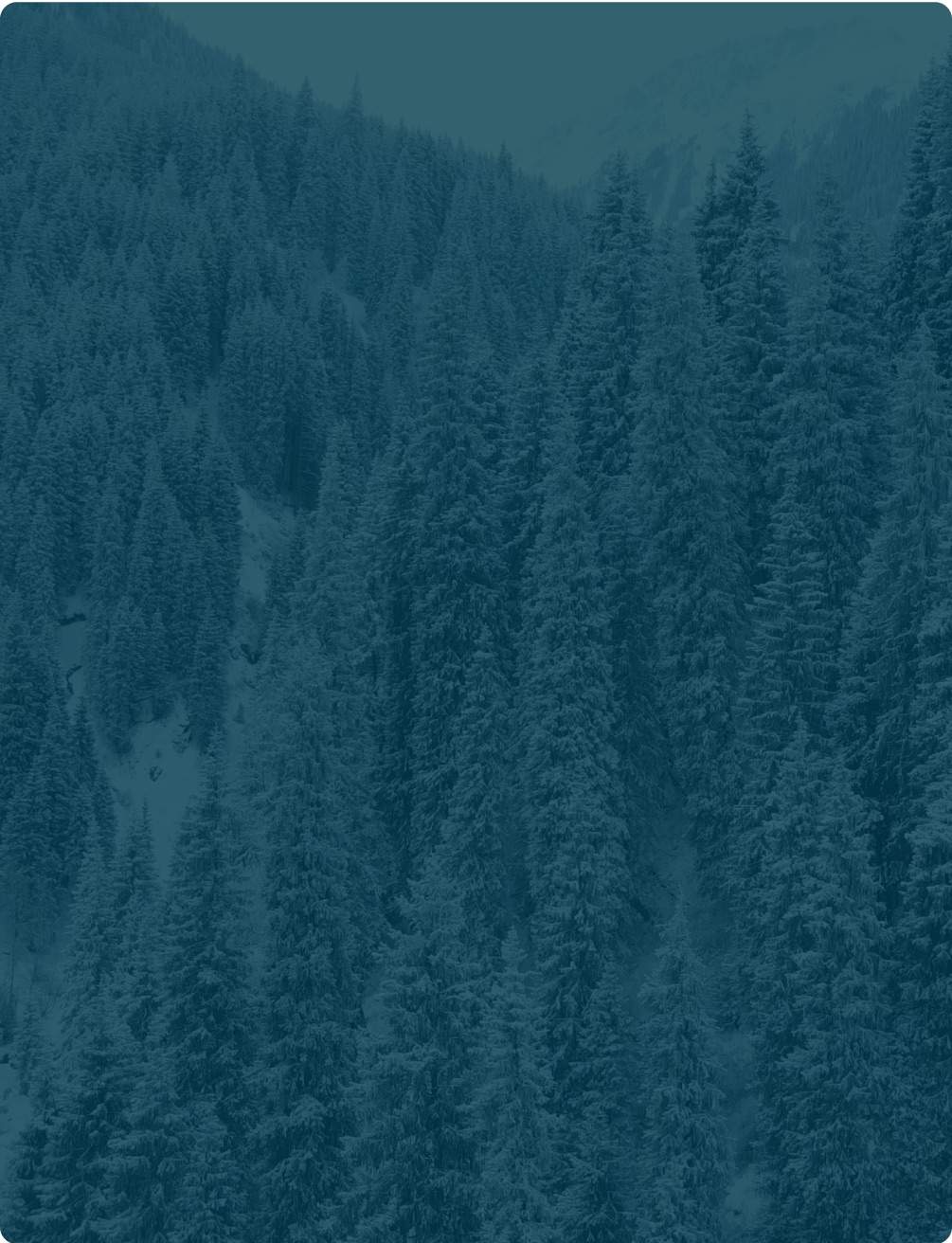 Winter background