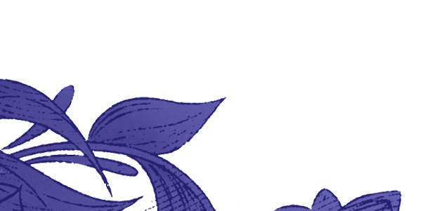 Backgorund Vegitation