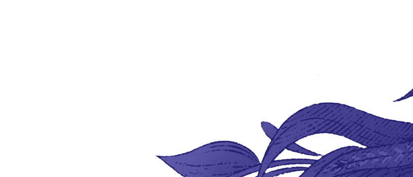 Backgorund Vegitation