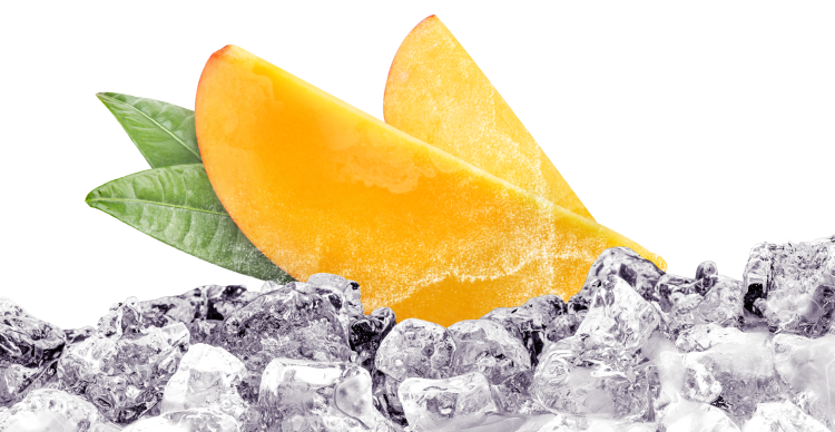 Tomorrowland stage and crowd