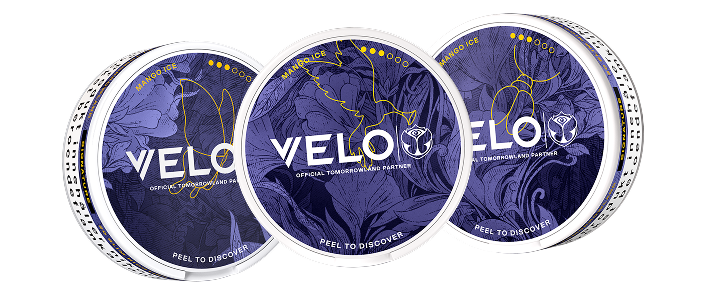 Tomorrowland stage and crowd