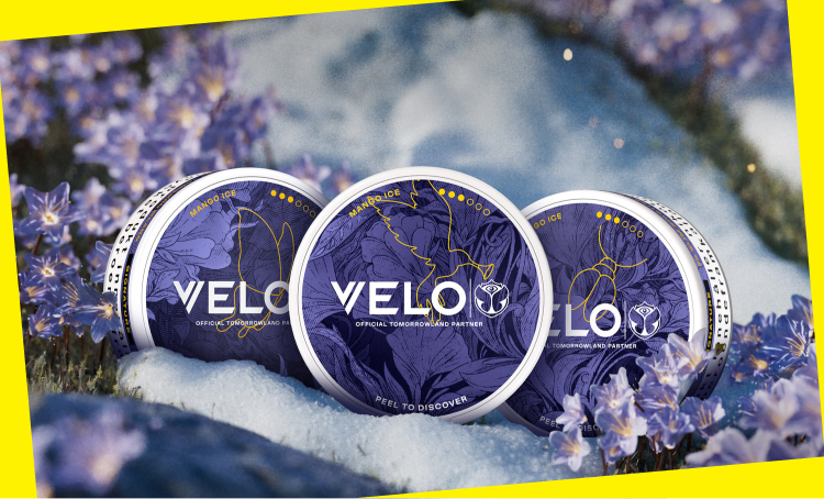 Tomorrowland stage and crowd